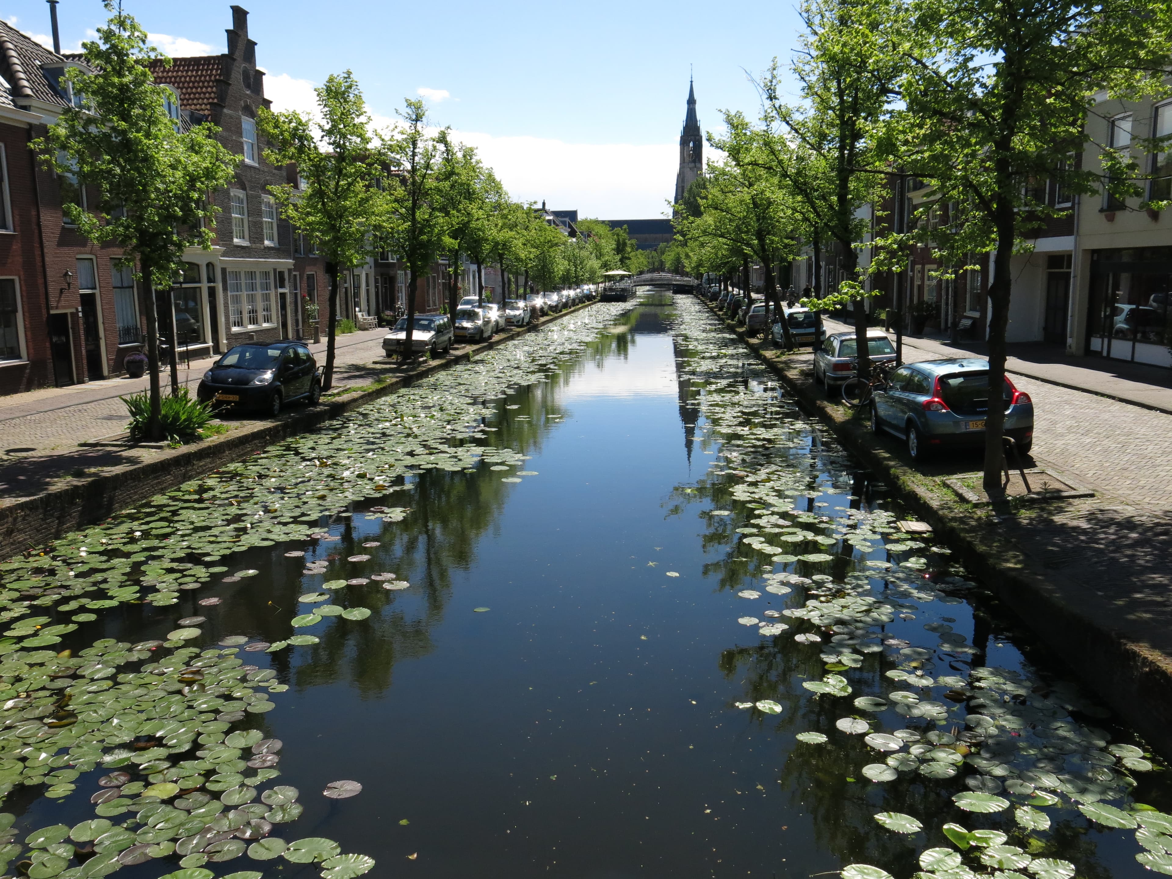 Geplaveide straat met bakstenen panden in Delft